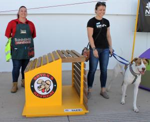 TAFE NSW build paw-fect homes for RSPCA rescue dogs