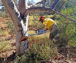 TAFE NSW helps National Parks & Wildlife Service upskill ahead of bushfire season