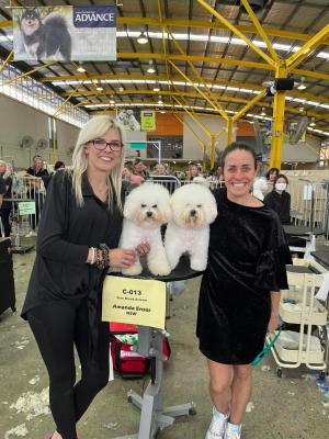 TAFE NSW Yallah pet grooming team gives pooches an Easter Show makeover