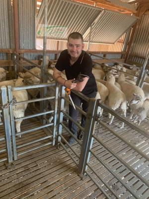 TAFE NSW graduate's career goes from plate to paddock