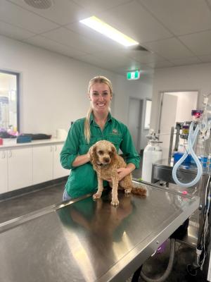 Pathway to veterinary nursing helping to train the workforce of the future