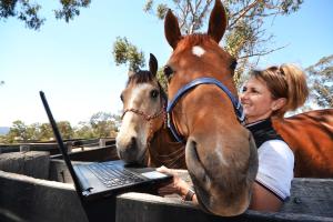 Biosecurity and animal welfare skills give TAFE NSW performance horse students an edge