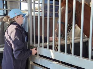 Former Olympian welcomes horse care course at TAFE NSW Goulburn amid jobs boom