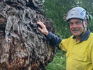 TAFE NSW gives Armidale man a new hobby, side hustle, and holistic love of trees