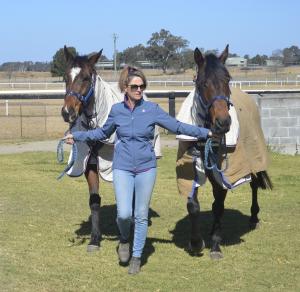 New TAFE NSW horse safety course aimed at stemming the tide of tragedy