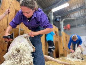 Click go the shears as TAFE NSW gives Riverina students a taste of shearing