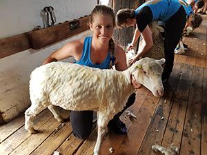 TAFE NSW helps young shearer launch golden career