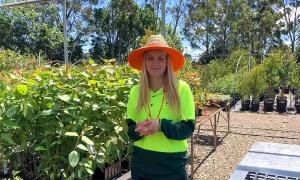 Raychel sows seeds for next generation of young lady tradies