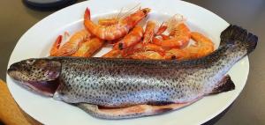 TAFE BUDS: How to find the freshest seafood
