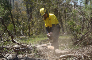 THE CUTTING EDGE: New TAFE NSW hi-tech tools a boost for nation's timber industry