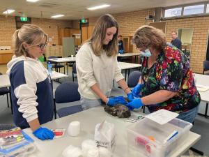 Community learns wildlife-saving skills with TAFE NSW