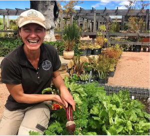 TAFE NSW propagating careers as gardening interest blooms