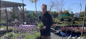 CAREER IN BLOOM: TAFE NSW Moss Vale helps Penrose woman follow in mum's footsteps