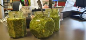 Hey pesto! Sara serves up suggestions for everyone's favourite green sauce