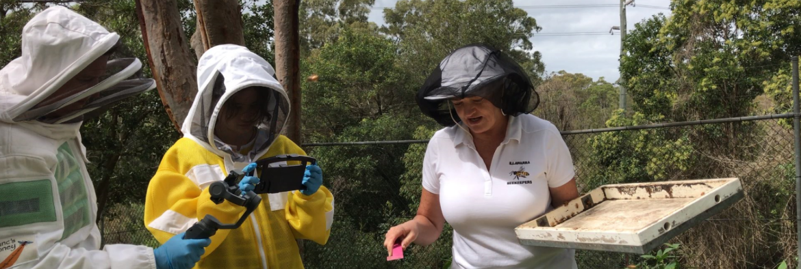 Bee keeping project a ‘reel’ hit for TAFE NSW Loftus students