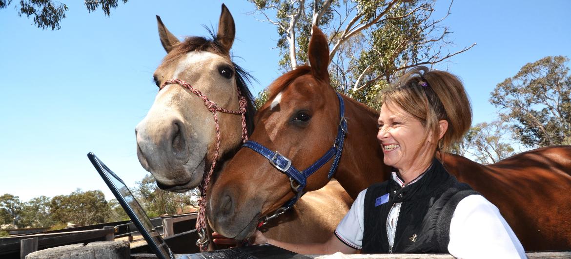 Biosecurity and animal welfare skills give TAFE NSW performance horse students an edge