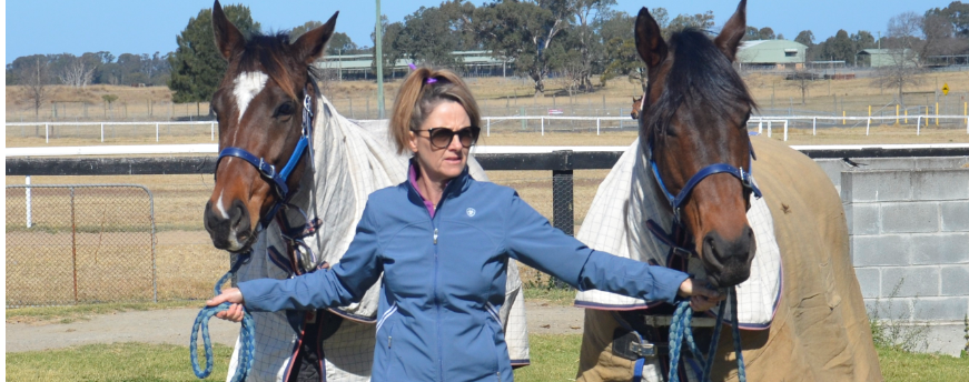 New TAFE NSW horse safety course aimed at stemming the tide of tragedy