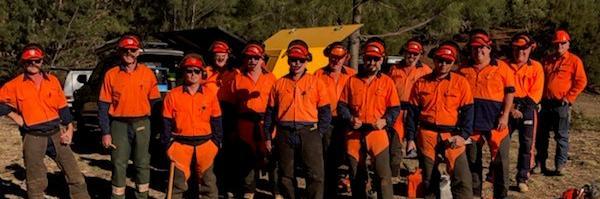 TAFE NSW chainsaw training a cut above