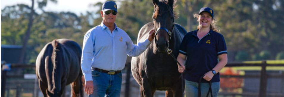 Careers on track as TAFE NSW partners with Highlands thoroughbred breeding operation