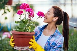 Start your career in Horticulture