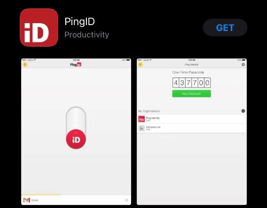 Screen shot showing the PingID product within the Apple App Store.

